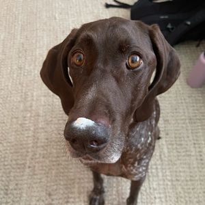 Meet your Posher, Rochelle